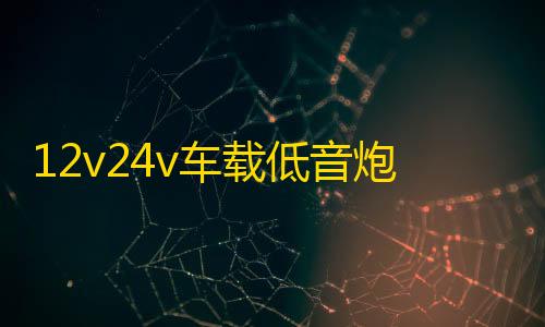 12v24v车载低音炮汽车货车音响无线蓝牙音箱220v家用大音量重低音